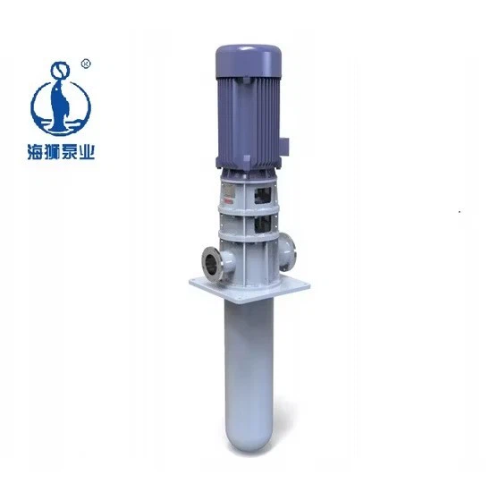 Condensate Vertical Haishi Mud Vs1 Submersible Molten Salt Pump With High Quality suppliers Condensate Vertical Haishi Mud Vs1 Submersible Molten Salt Pump With High Quality suppliers