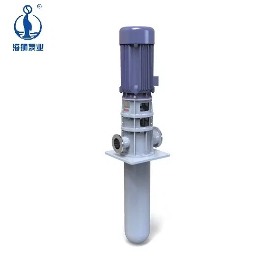 Customized Verticaljoint Surface Circulating Haishi Vs6 High Pressure Diesel Vs5 Vertical Pump suppliers