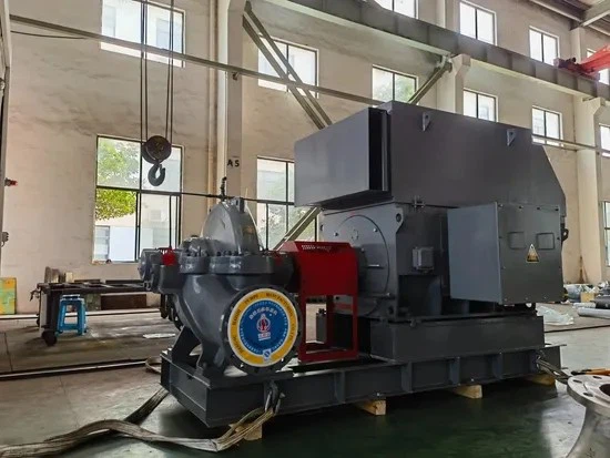 20250407_093354_044 20250407_093354_044